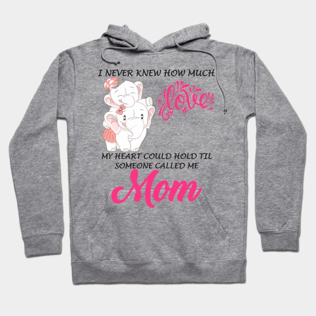 I never knew how much love my heart could hold Hoodie by WorkMemes